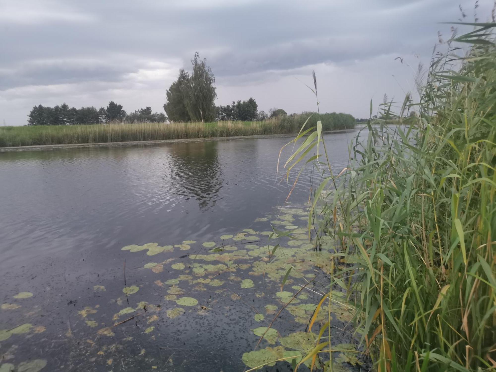 Hotel Bursztynowa 1 Sztutowo Zewnętrze zdjęcie